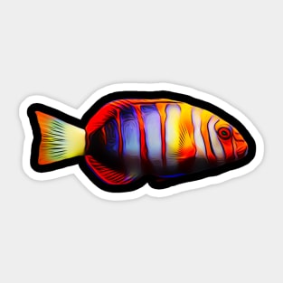 Tusk Wrasse Sticker